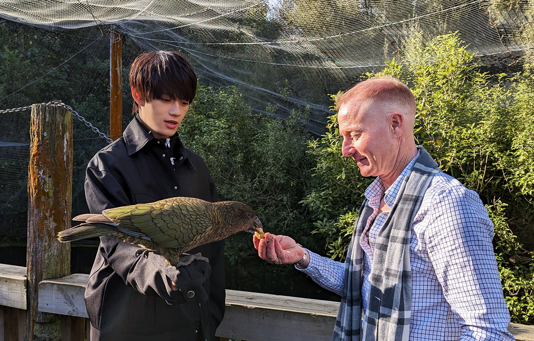 俳優・アーティスト・佐野勇斗さん