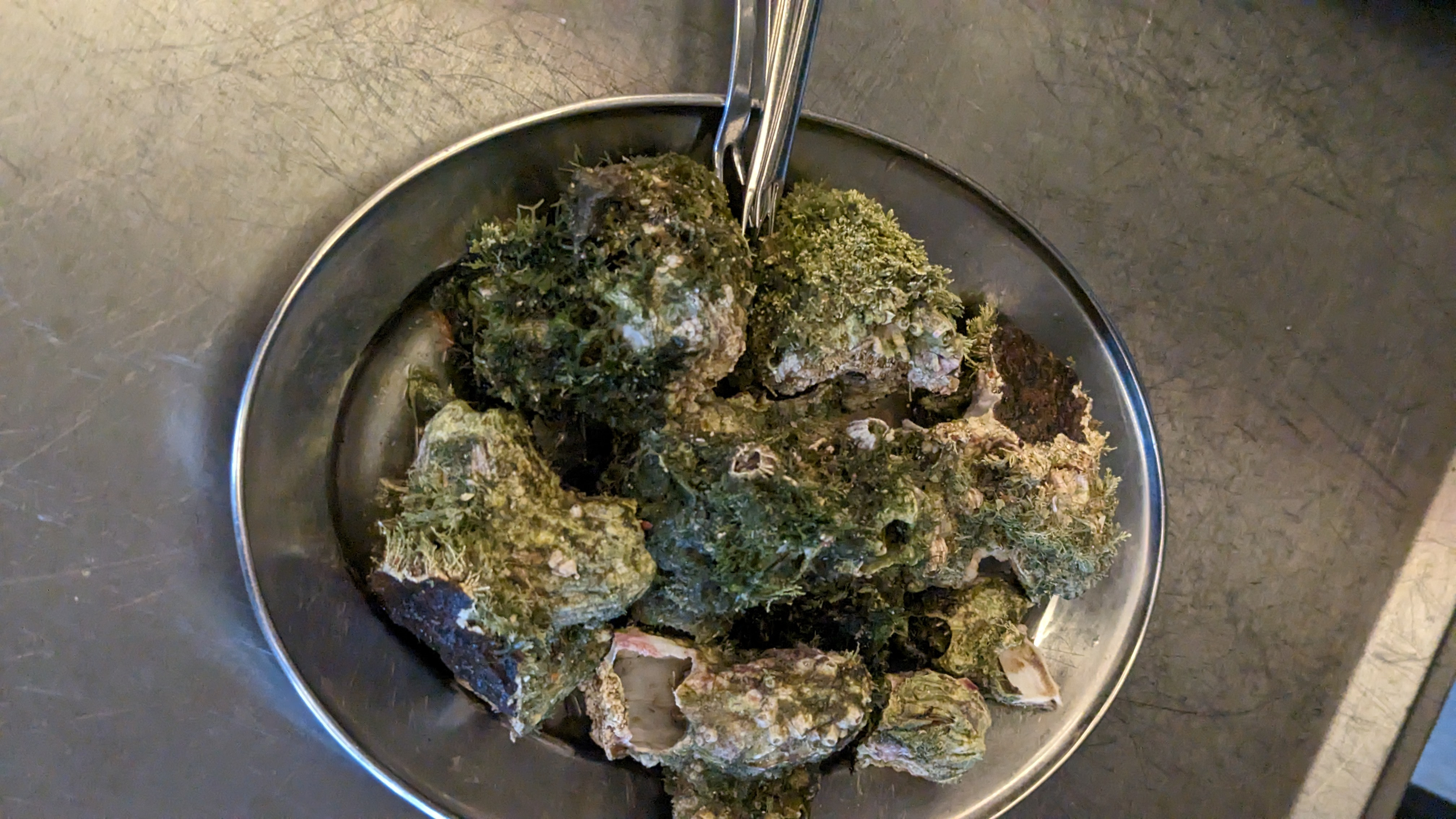 女優・菅野美穂