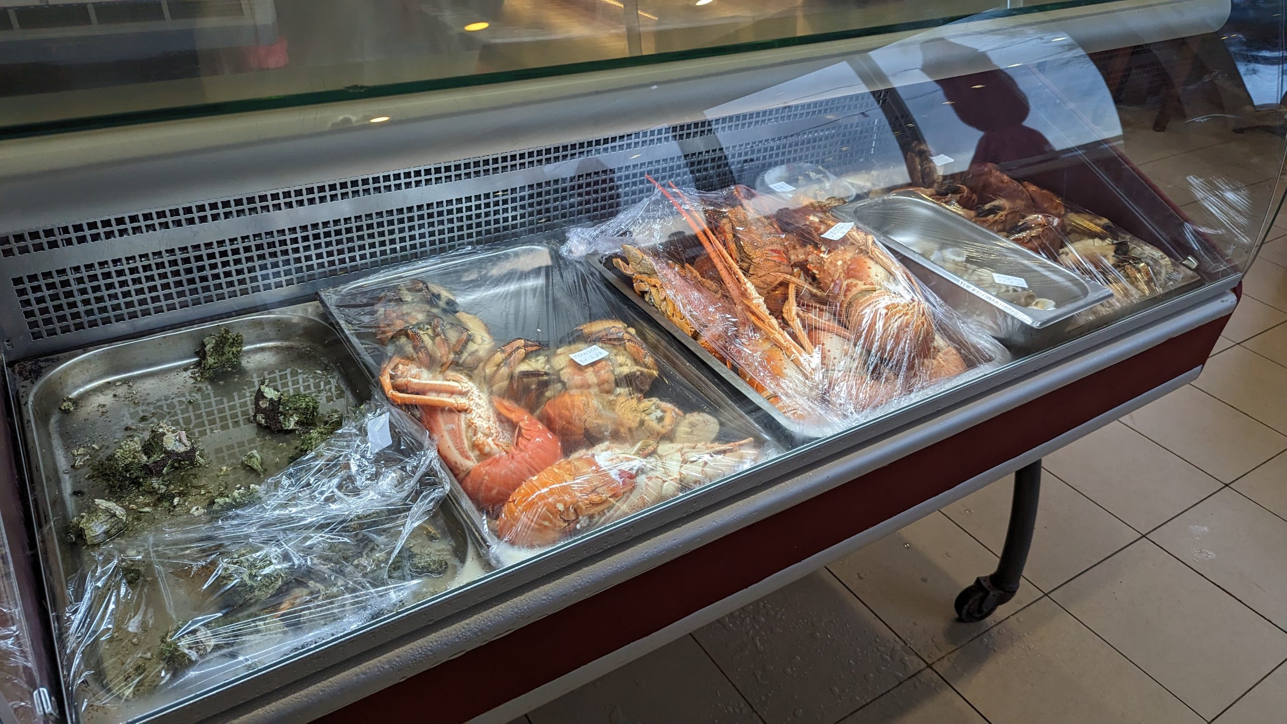 女優・菅野美穂