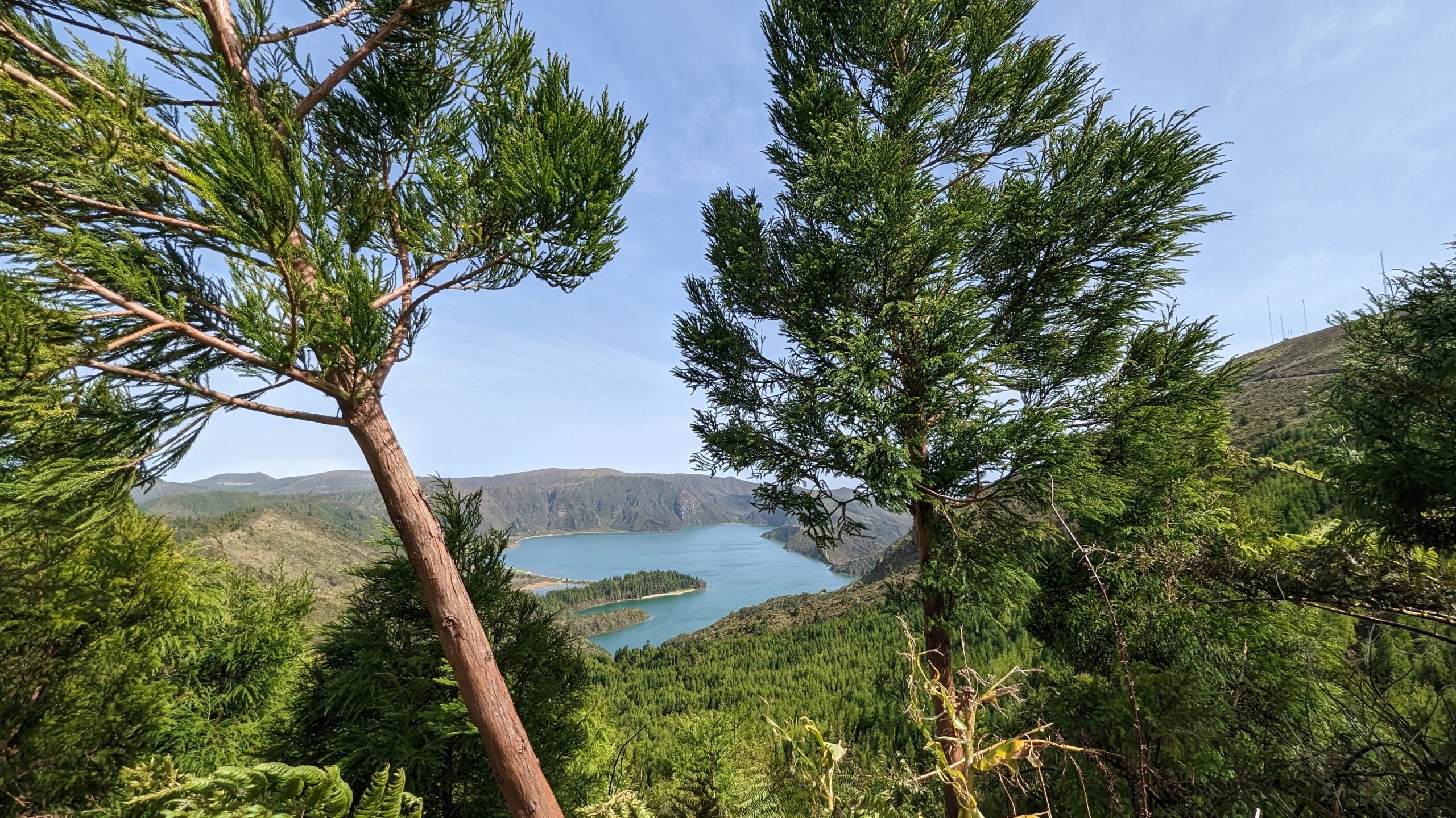 女優・菅野美穂