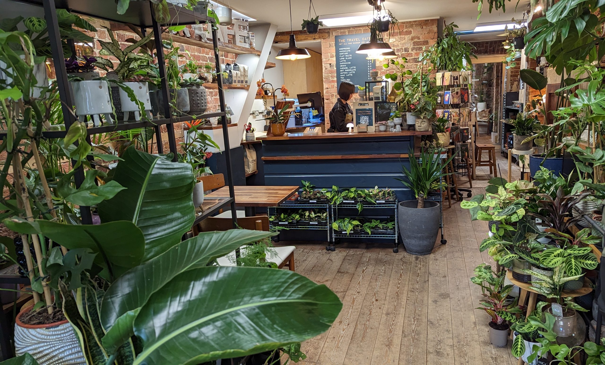 女優・菅野美穂