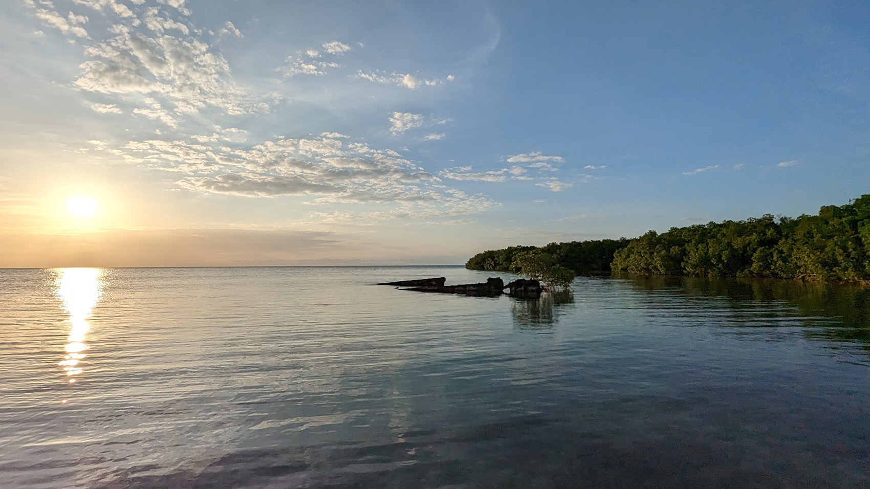 歌手・俳優・ギタリスト・安田章大