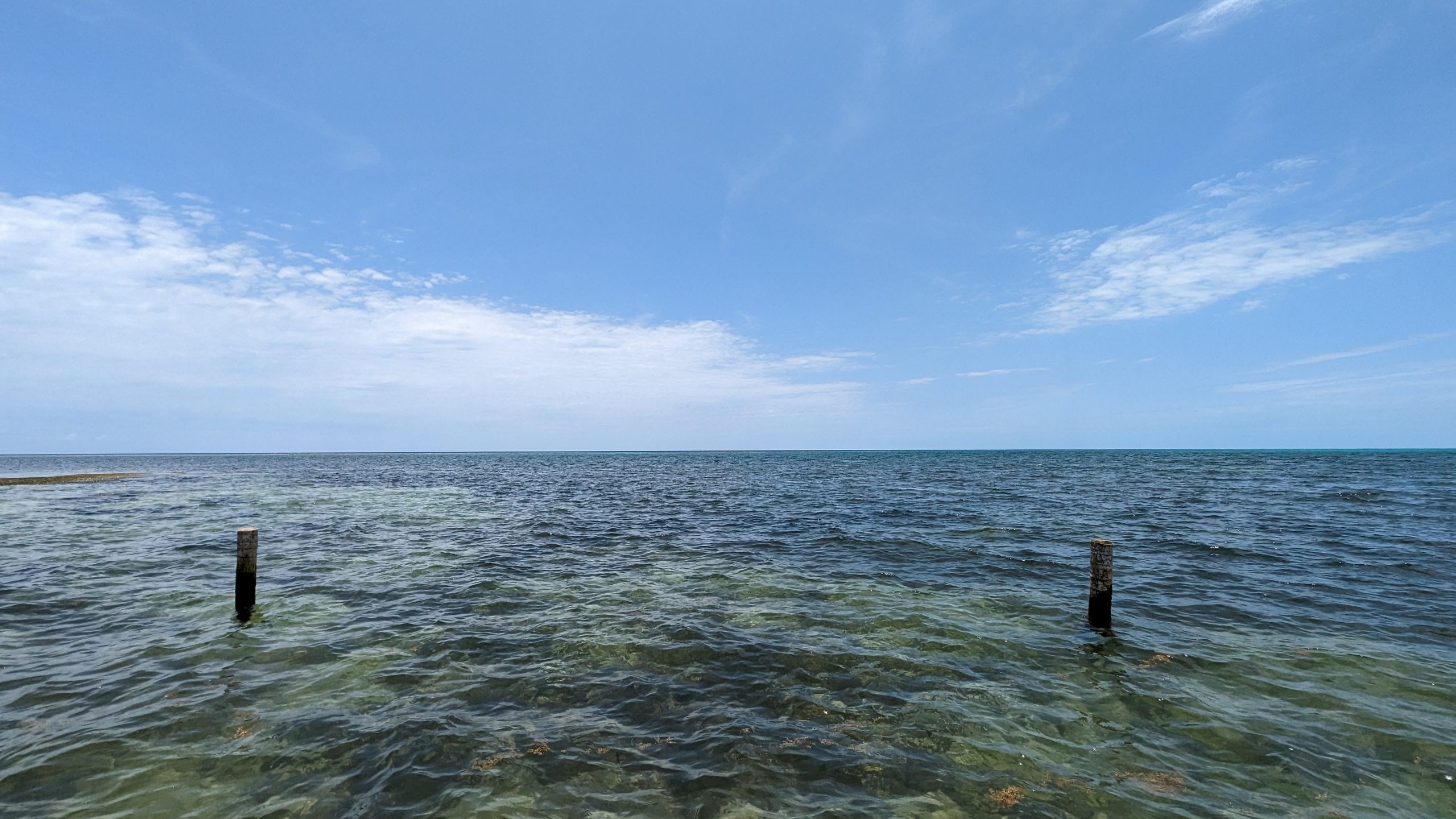 歌手・俳優・ギタリスト・安田章大