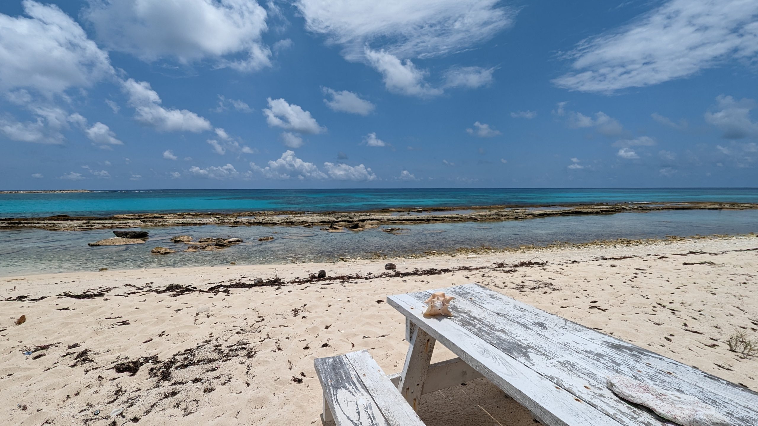 歌手・俳優・ギタリスト・安田章大