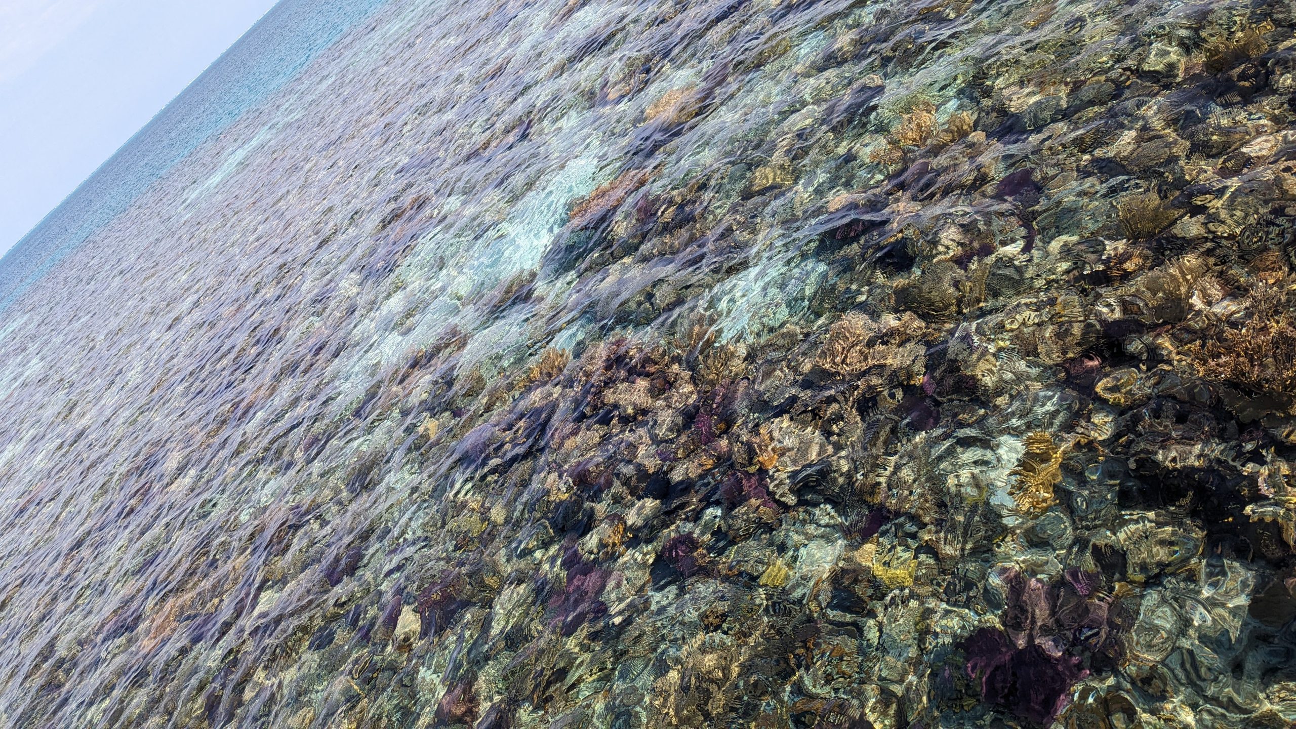 歌手・俳優・ギタリスト・安田章大